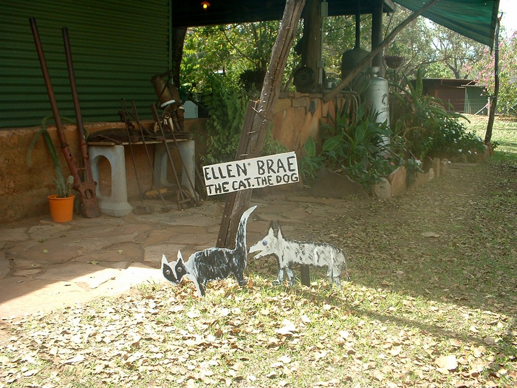 Day 27 Ellenbrae cat and dog sign